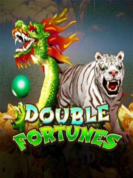 Khám phá Studio77 Casino Arena: Điểm đến cho các tín đồ đánh bạc
