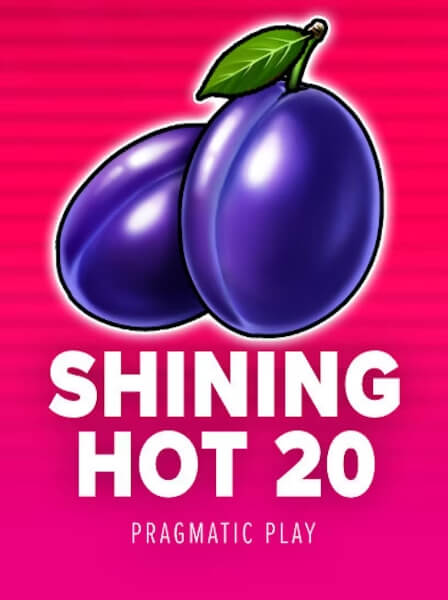 Khám phá không gian cá cược tại Studio77 Casino Arena
